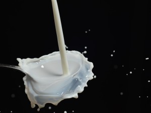 Die Milchlüge – Macht uns Milch krank oder gesund?