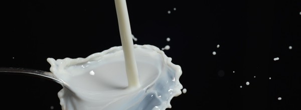 Die Milchlüge – Macht uns Milch krank oder gesund?