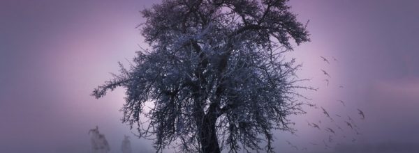 Nach langen Nächten folgt die Rückkehr ins Licht